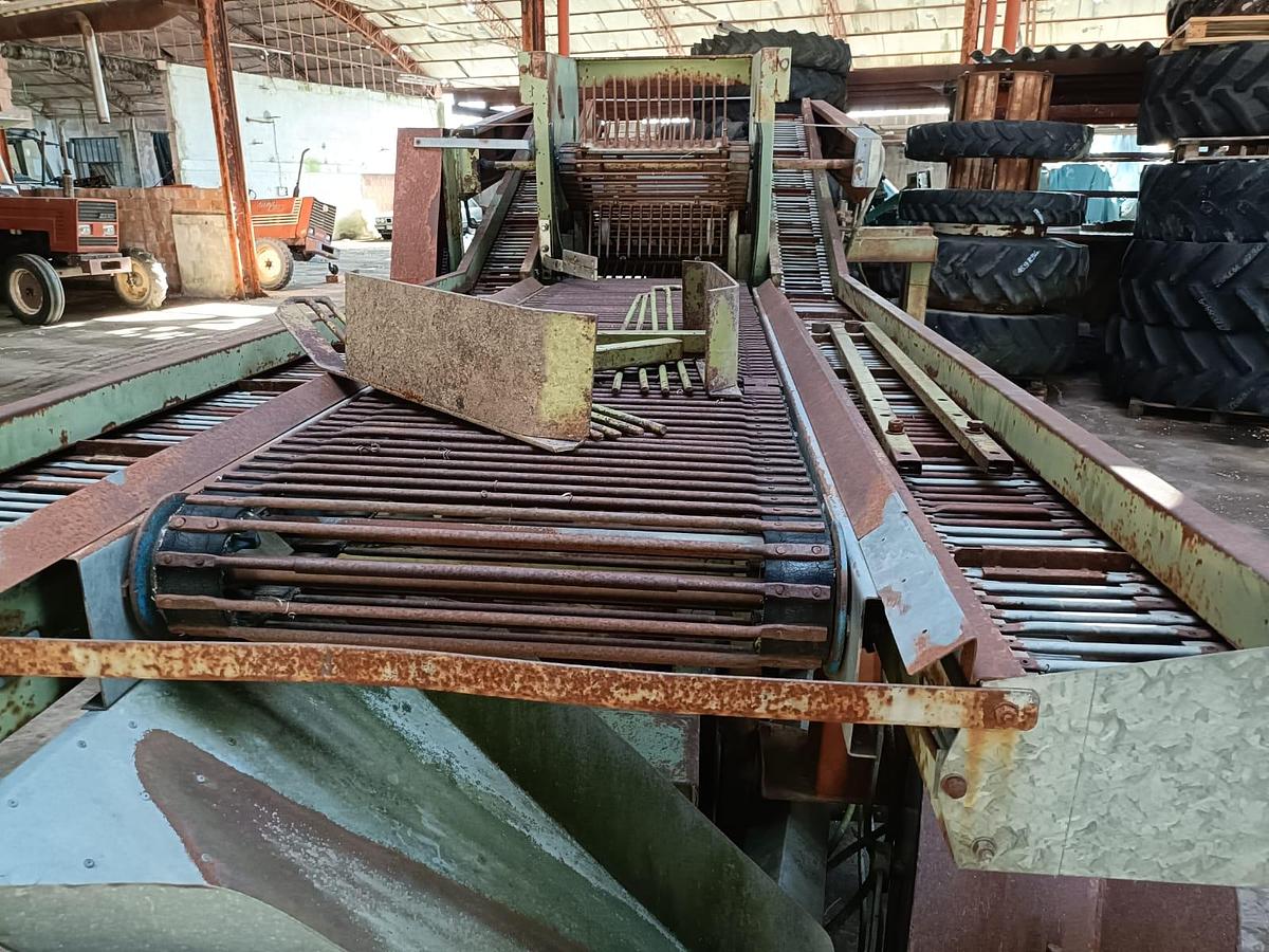 Usato Scavapatate marca Carlotti modello super 286