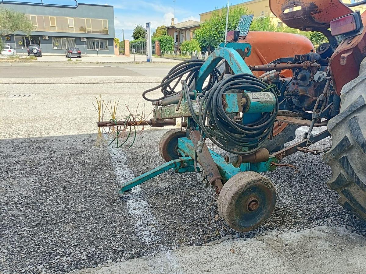 Usato Spazzola per vigneto o frutteto