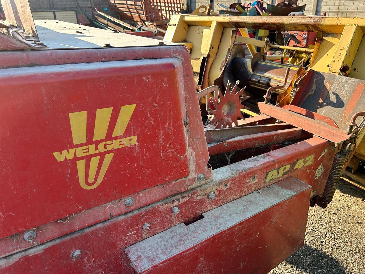 Usato Pressa per balline quadre Welger AP 42