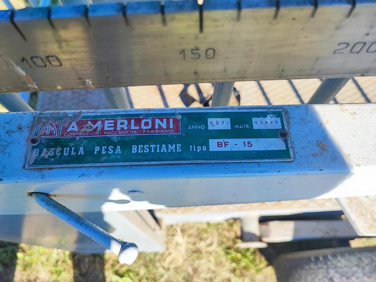 Usato Pesa bestiame carrellata Merloni