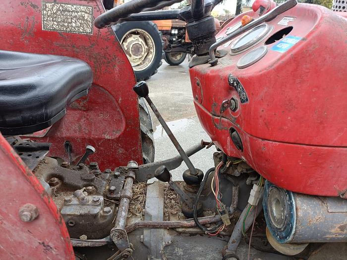 Usato Massey Ferguson 135, CV 50, Cilindri 3