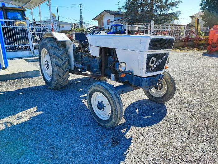 Usato Lamborghini R365 F