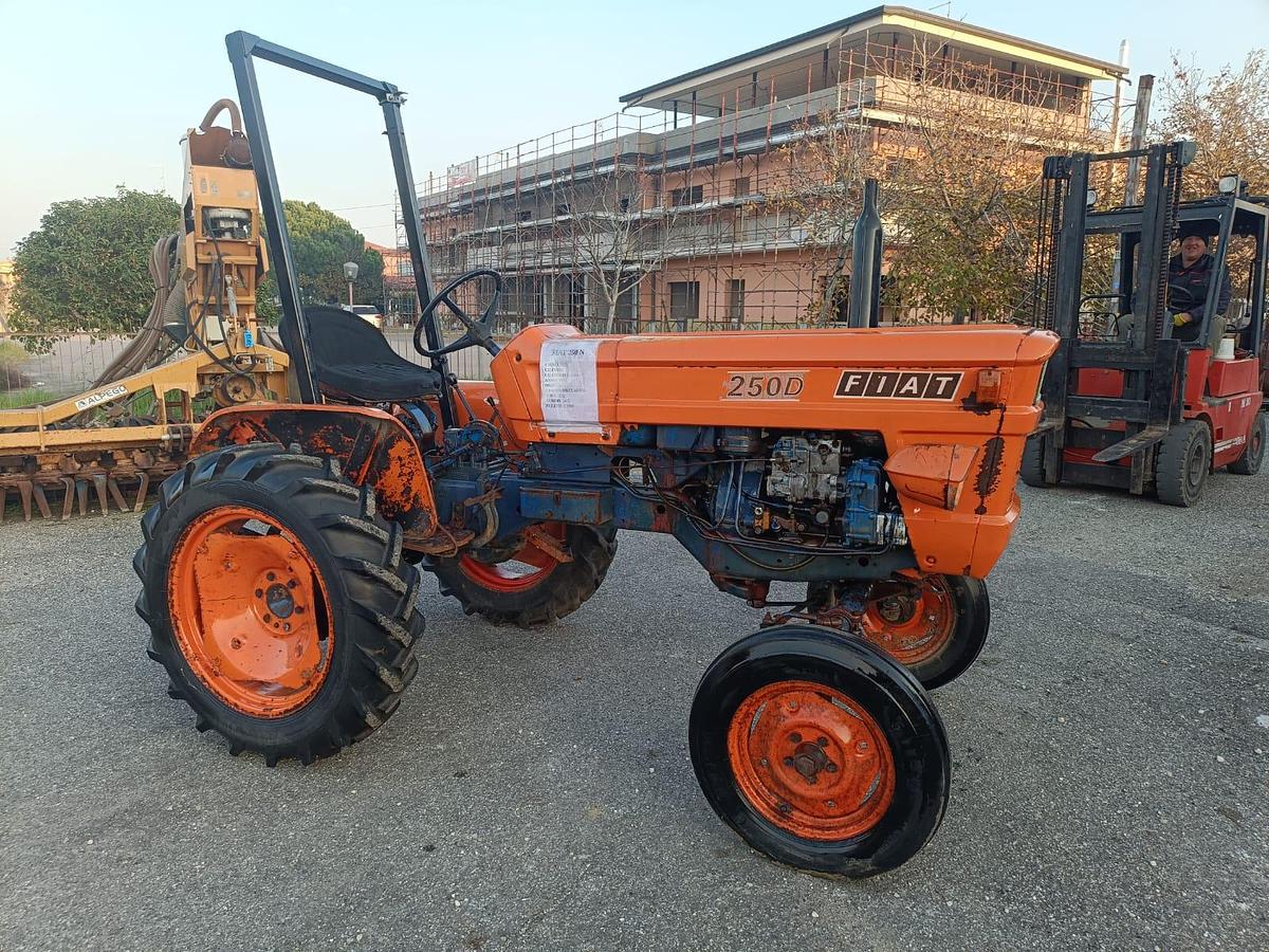 Usato Fiat 250 con arco di protezione