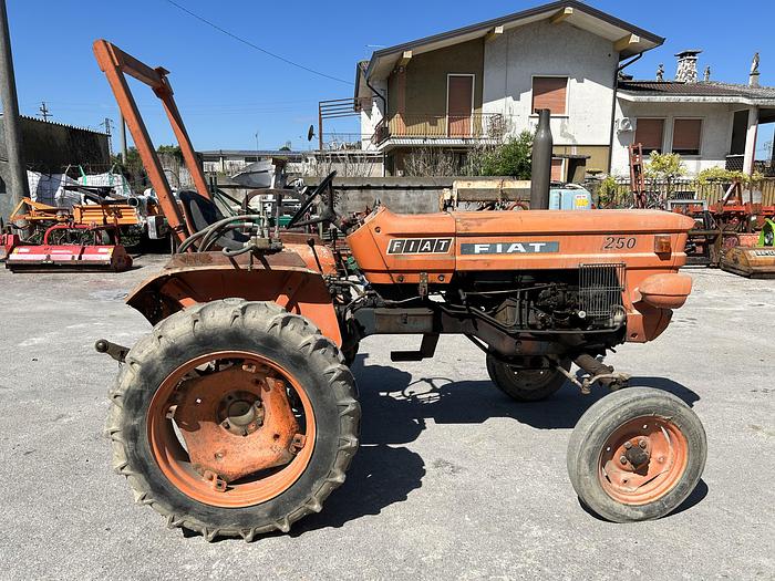 Usato Fiat 250 con arco di protezione