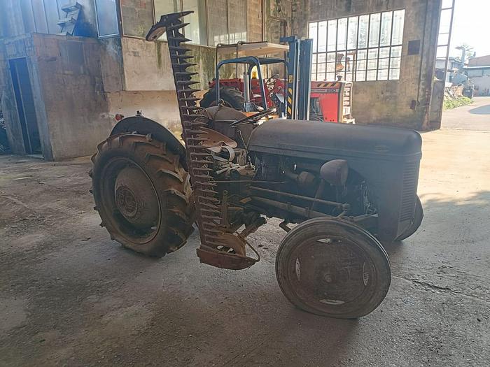 Usato Massey Ferguson TE 20 a benzina