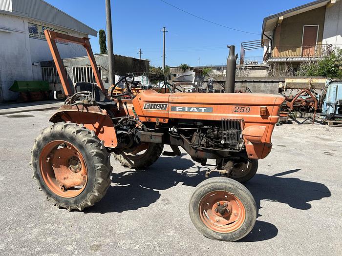 Usato Fiat 250 con arco di protezione