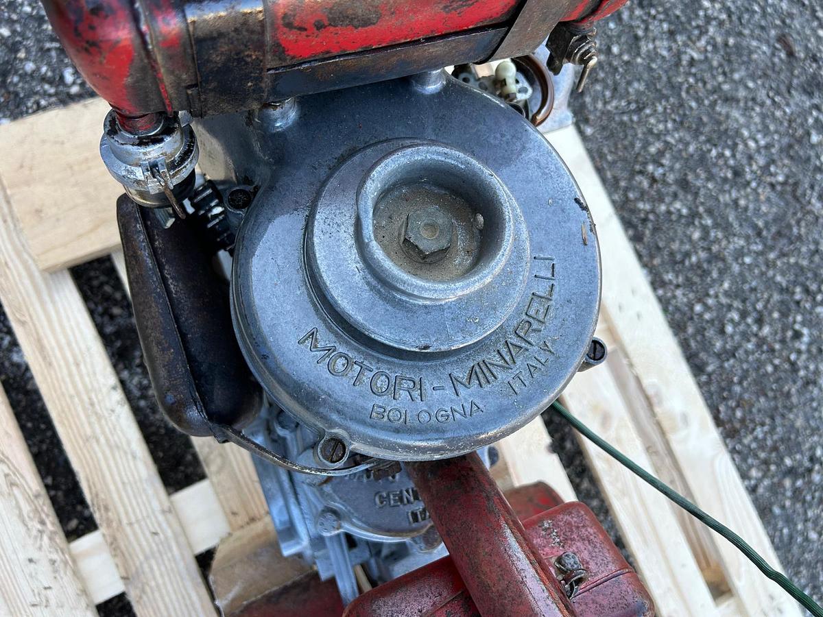 Usato Motocoltivatore Benassi con fresa da 33 cm