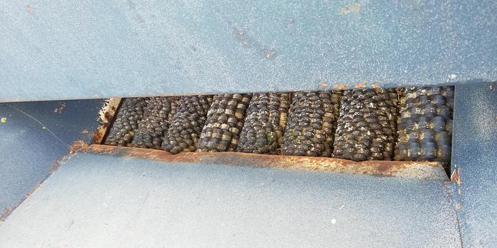 Usato Sfogliatrice per Mais