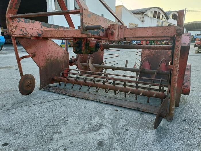 Usato Cava radicchi marca Ferrari