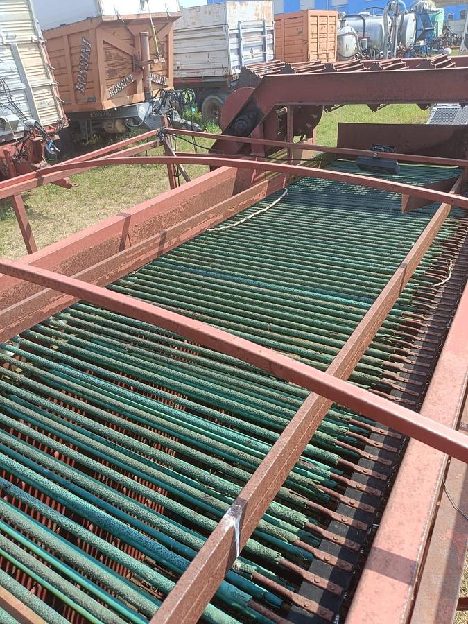 Usato Raccoglitrice Pomac trainata per patate, cipolle, aglio ecc