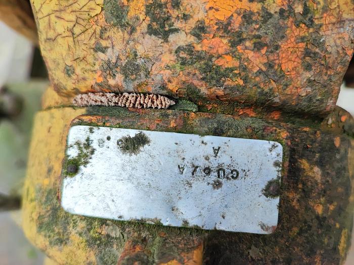 Usato Pompa Landini con cavalletto e pesca