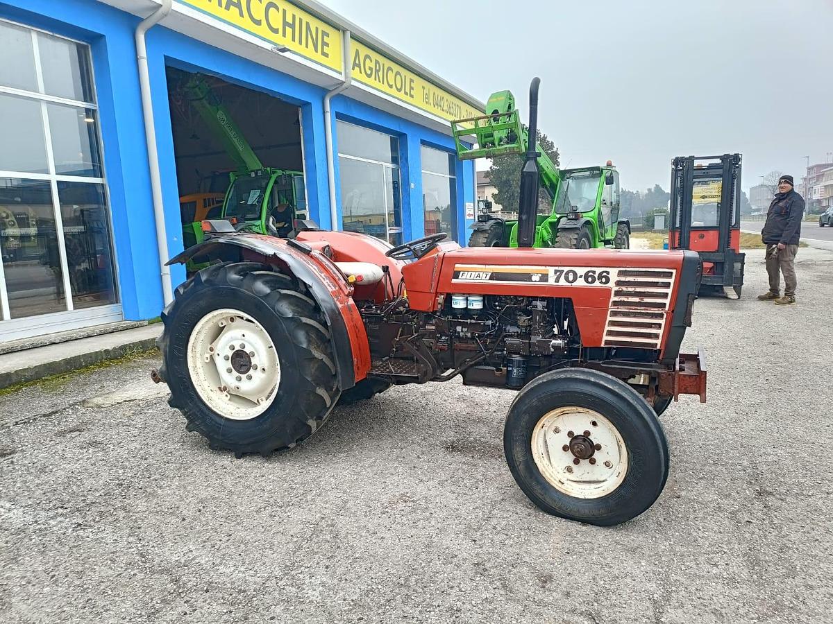 Usato Fiat 70 66 frutteto o vigneto- idroguida