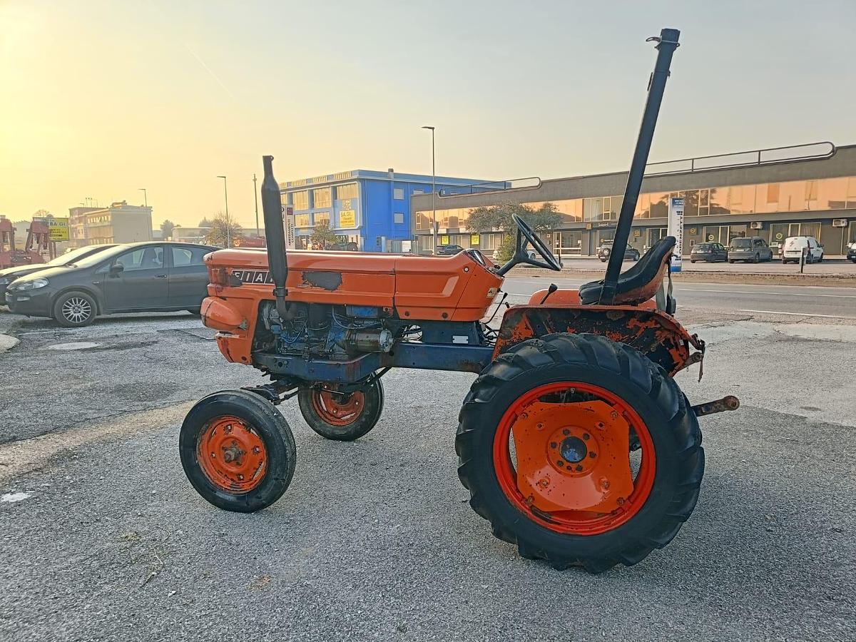 Usato Fiat 250 con arco di protezione