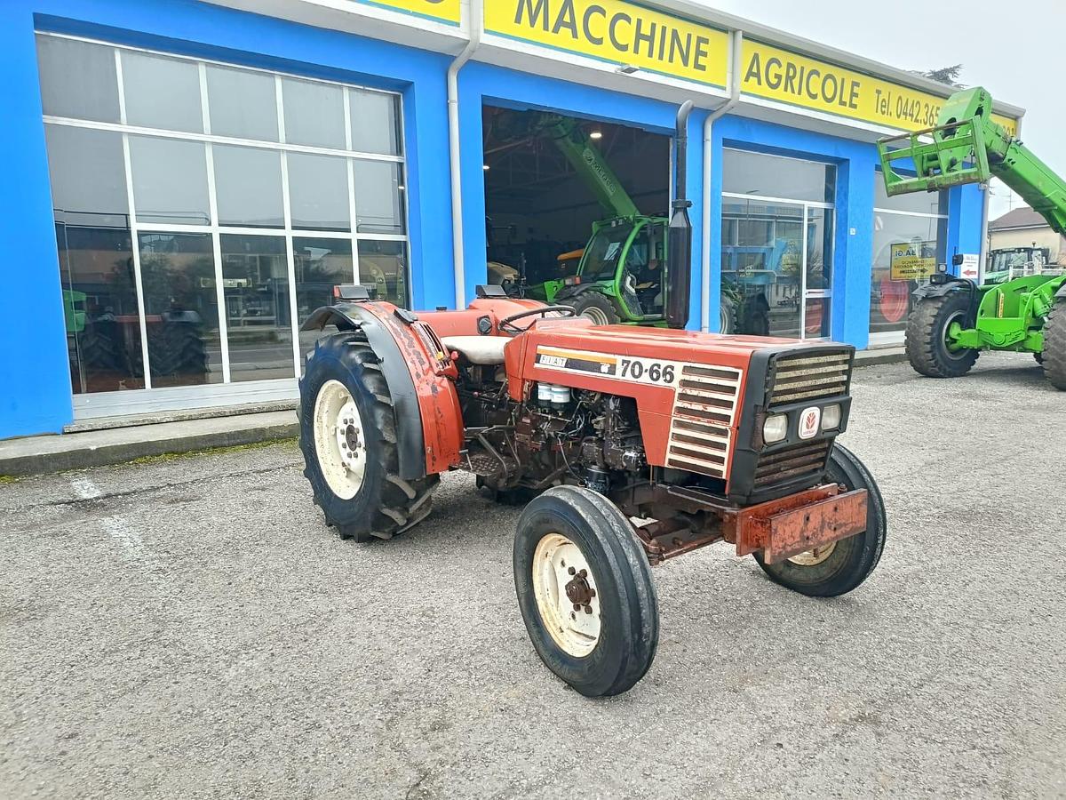 Usato Fiat 70 66 frutteto o vigneto- idroguida