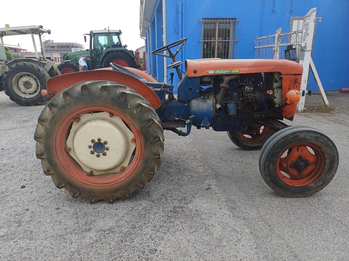 Usato same puledro da vigneto con sollevatore