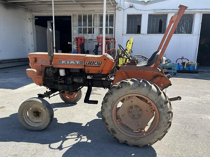 Usato Fiat 250 con arco di protezione