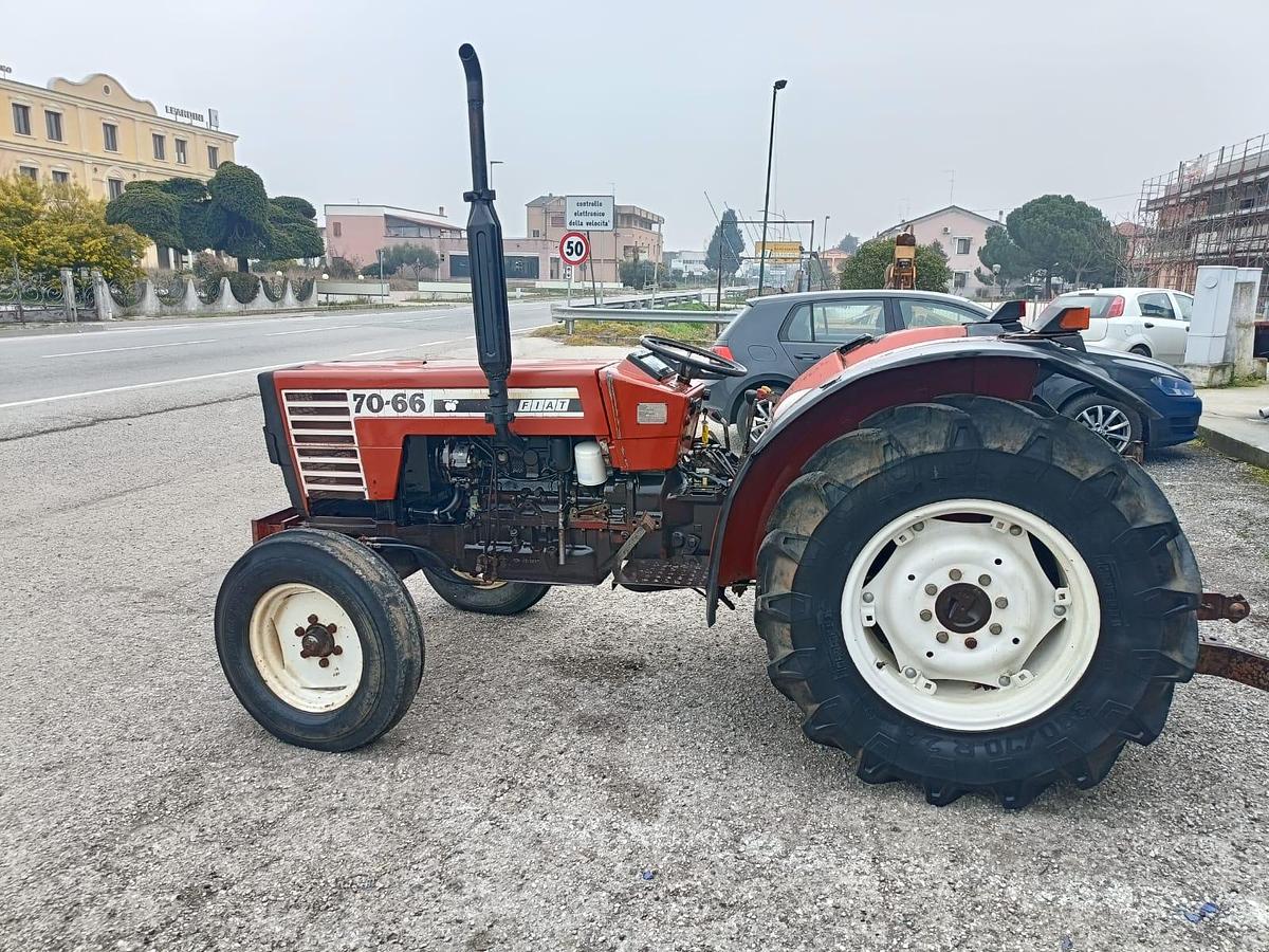 Usato Fiat 70 66 frutteto o vigneto- idroguida