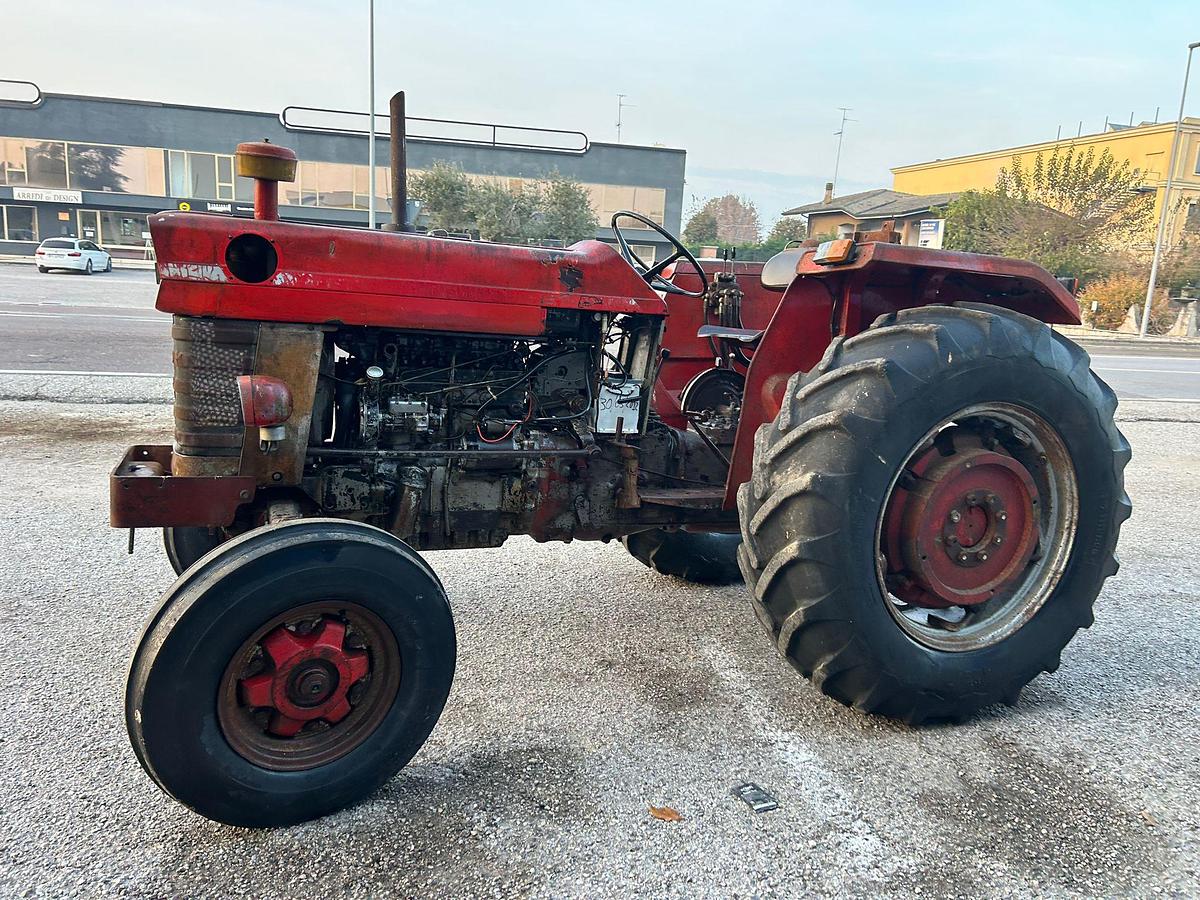 Usato Massey Ferguson 175