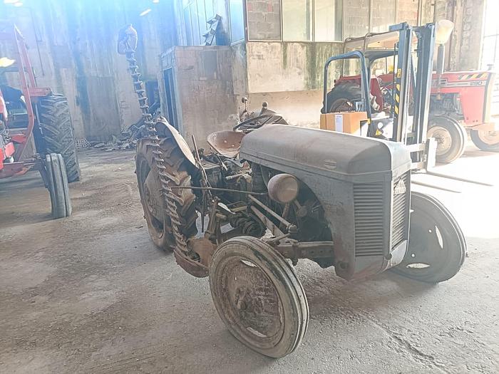 Usato Massey Ferguson TE 20 a benzina