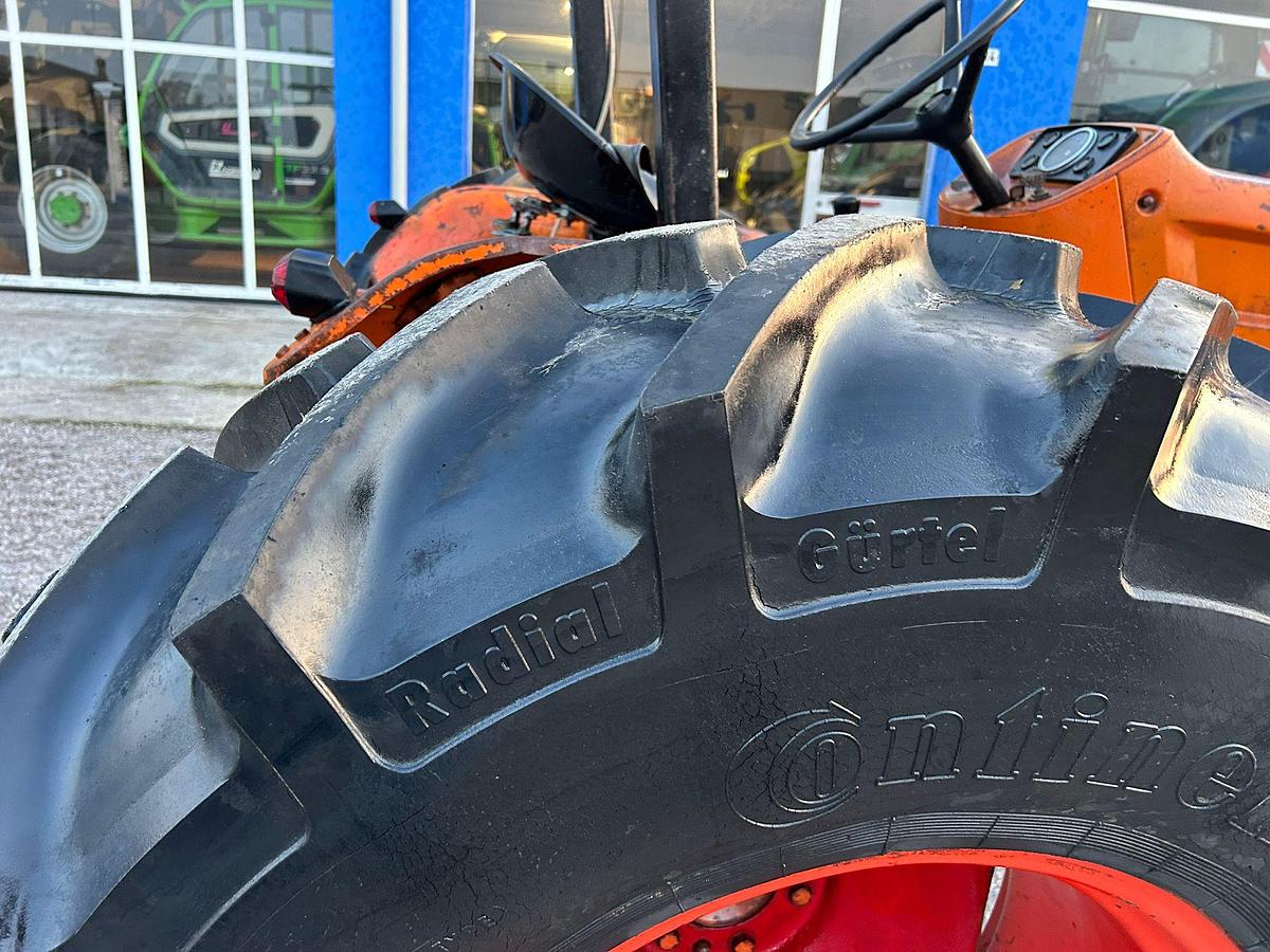 Usato Fiat 250 N con arco di protezione