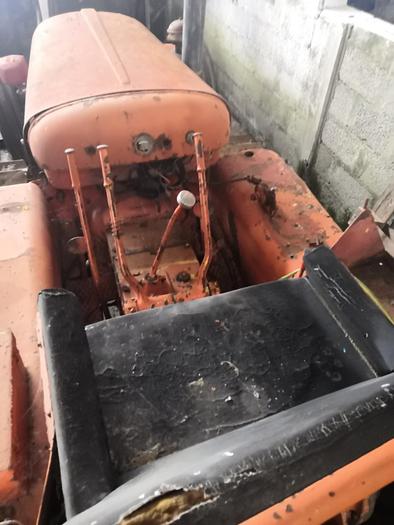 Usato Cingolato Venieri