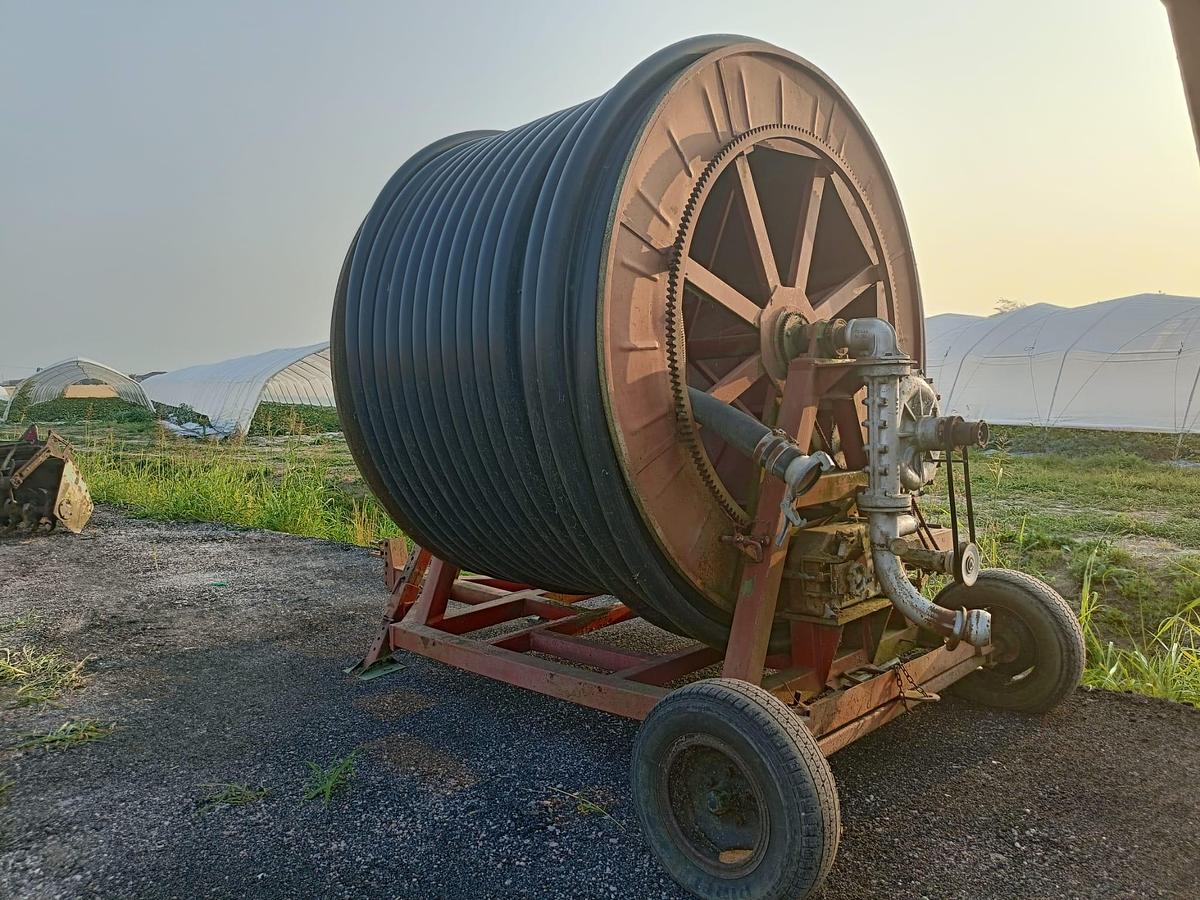 Usato Rotolone Ferbo 80x300