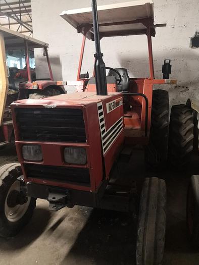 Usato Fiat Agri 60 90 - CV 65 - idroguida -arco di prote