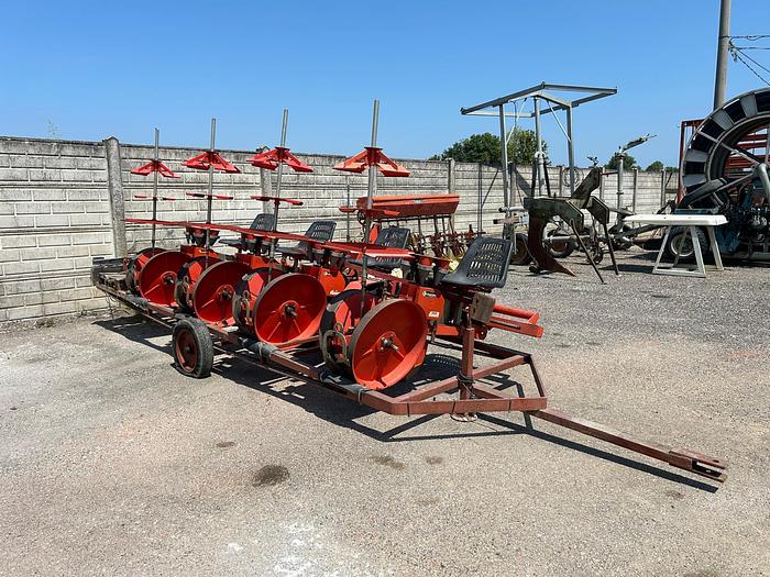 Usato Trapiantatrice Cecchi e Magli a 4 file carrellata