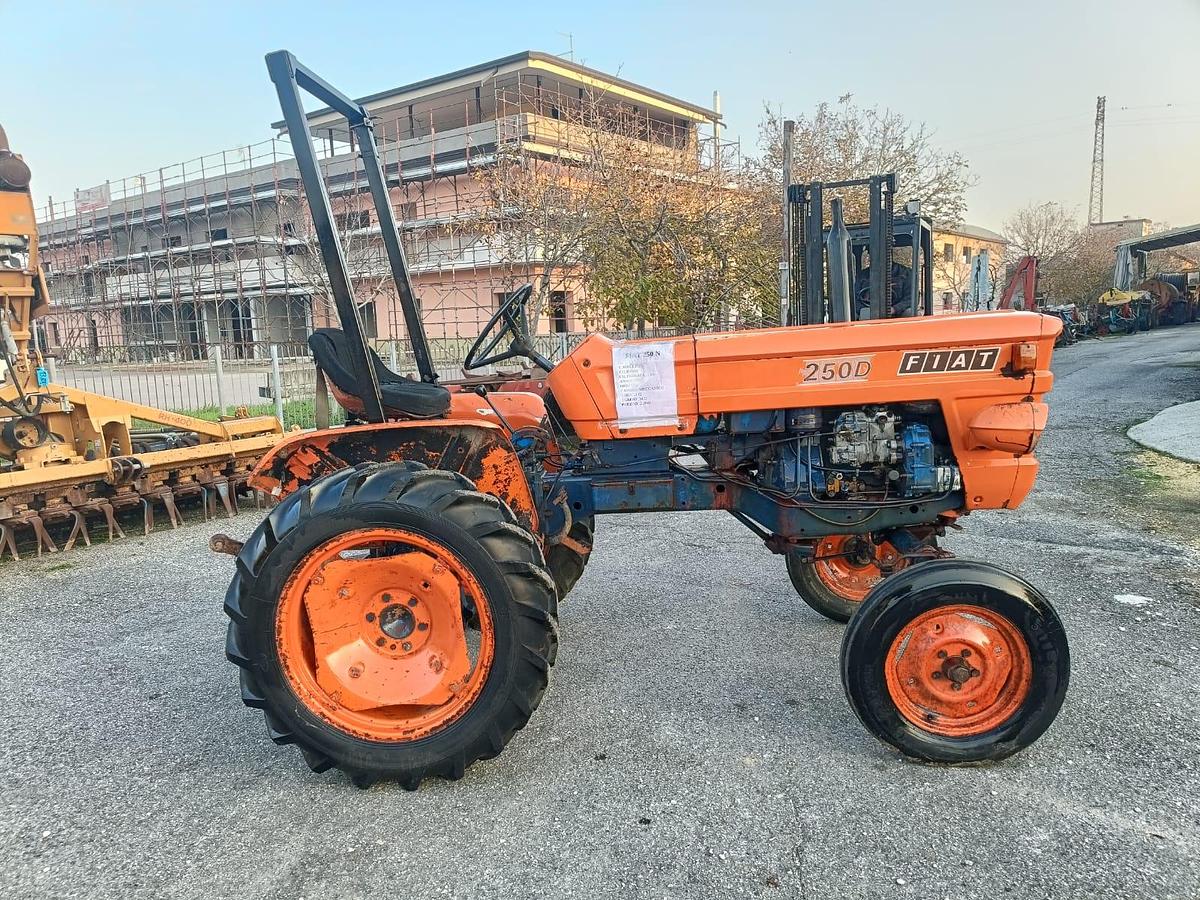 Usato Fiat 250 con arco di protezione