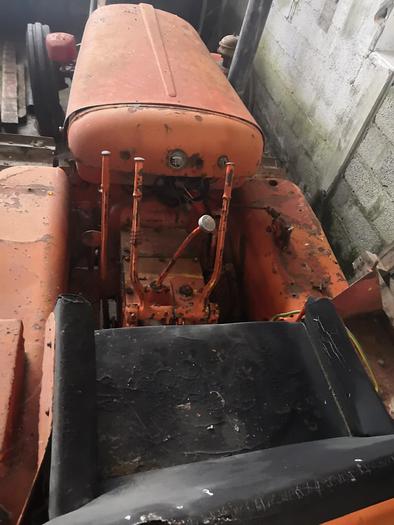 Usato Cingolato Venieri