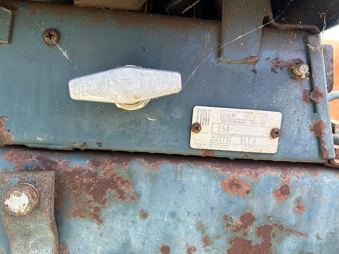 Usato Fiat 250 con sollevatore posteriore