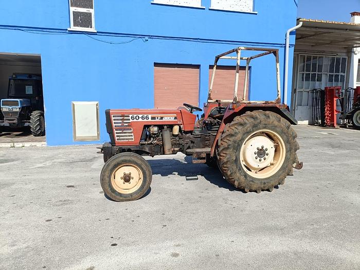 Usato Fiat 60 66 con idroguida