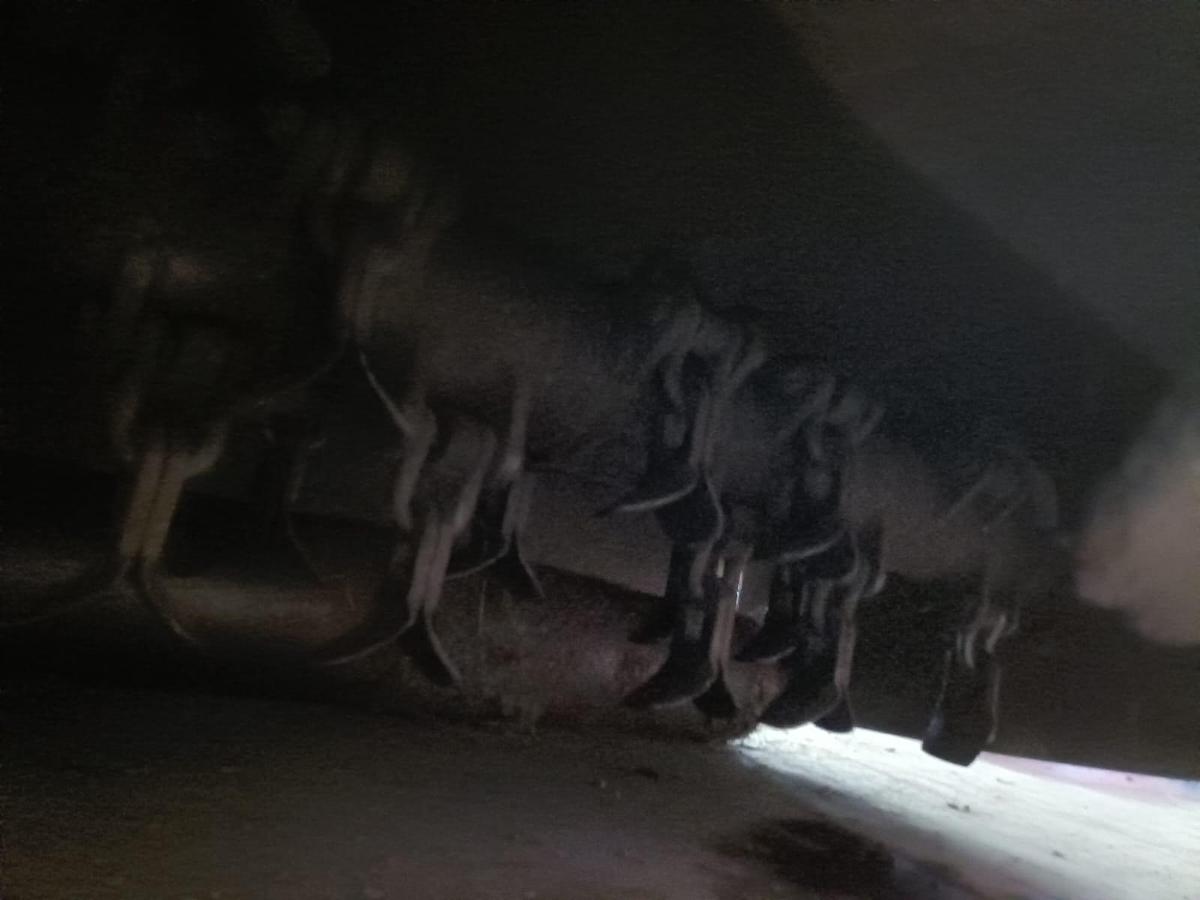 Usato braccio decespugliatore Gaspardo mod. Martina da 5 metri