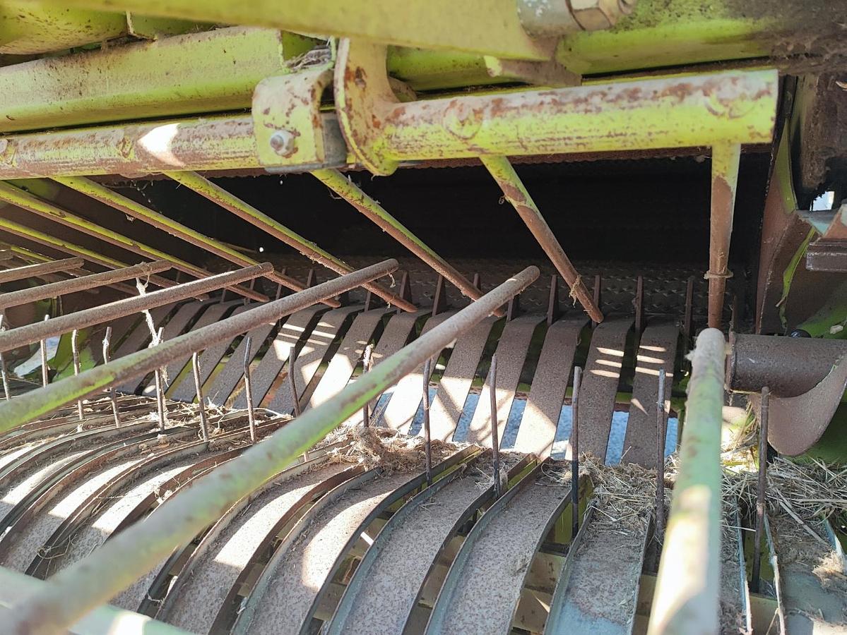 Usato Rotopressa Claas Rollant 66