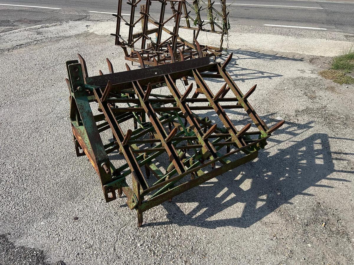 Usato erpice a denti fissi (1)