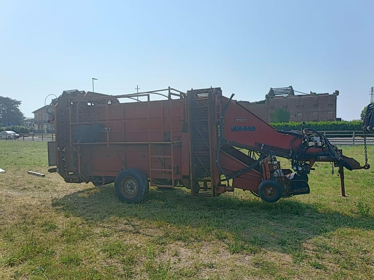 Usato Raccoglitrice Pomac trainata per patate, cipolle, aglio ecc