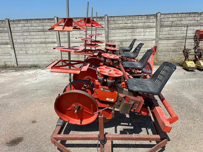 Usato Trapiantatrice Cecchi e Magli a 4 file carrellata