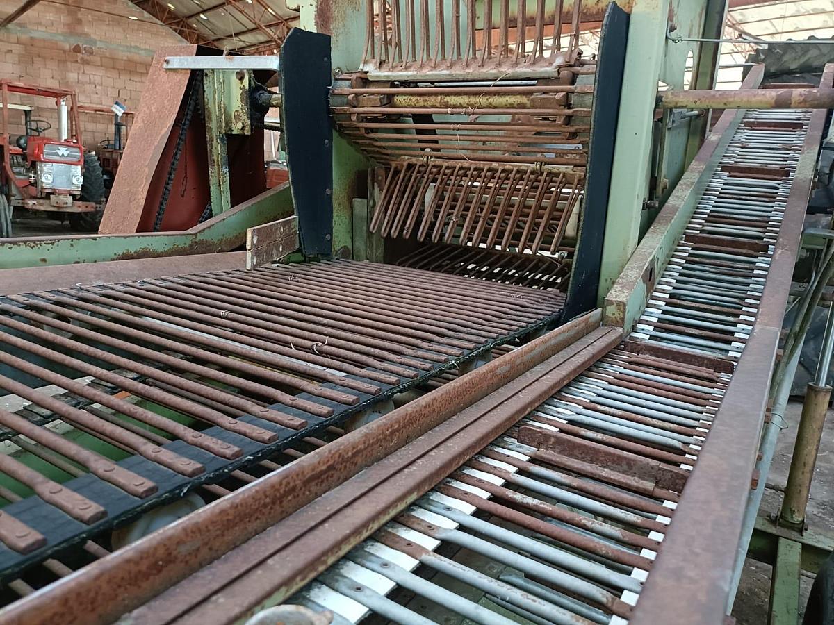 Usato Scavapatate marca Carlotti modello super 286