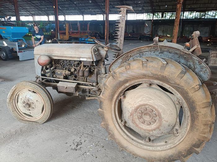 Usato Massey Ferguson TE 20 a benzina