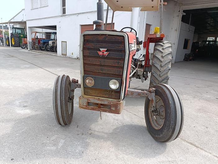 Usato Massey Ferguson 290