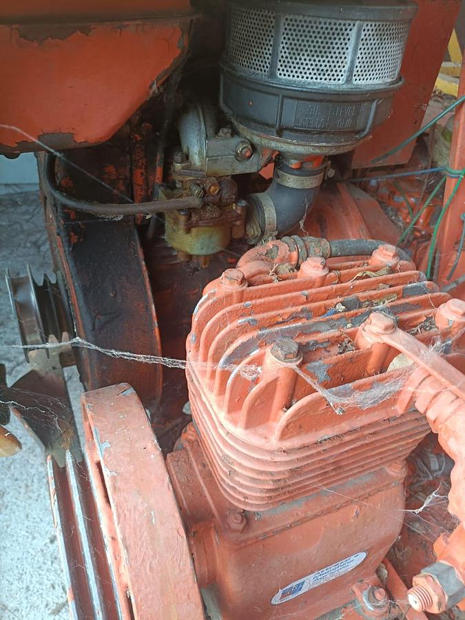 Usato Carro raccolta a benzina- funzionante