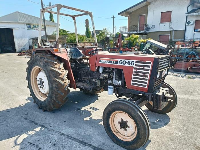Usato Fiat 60 66 con idroguida