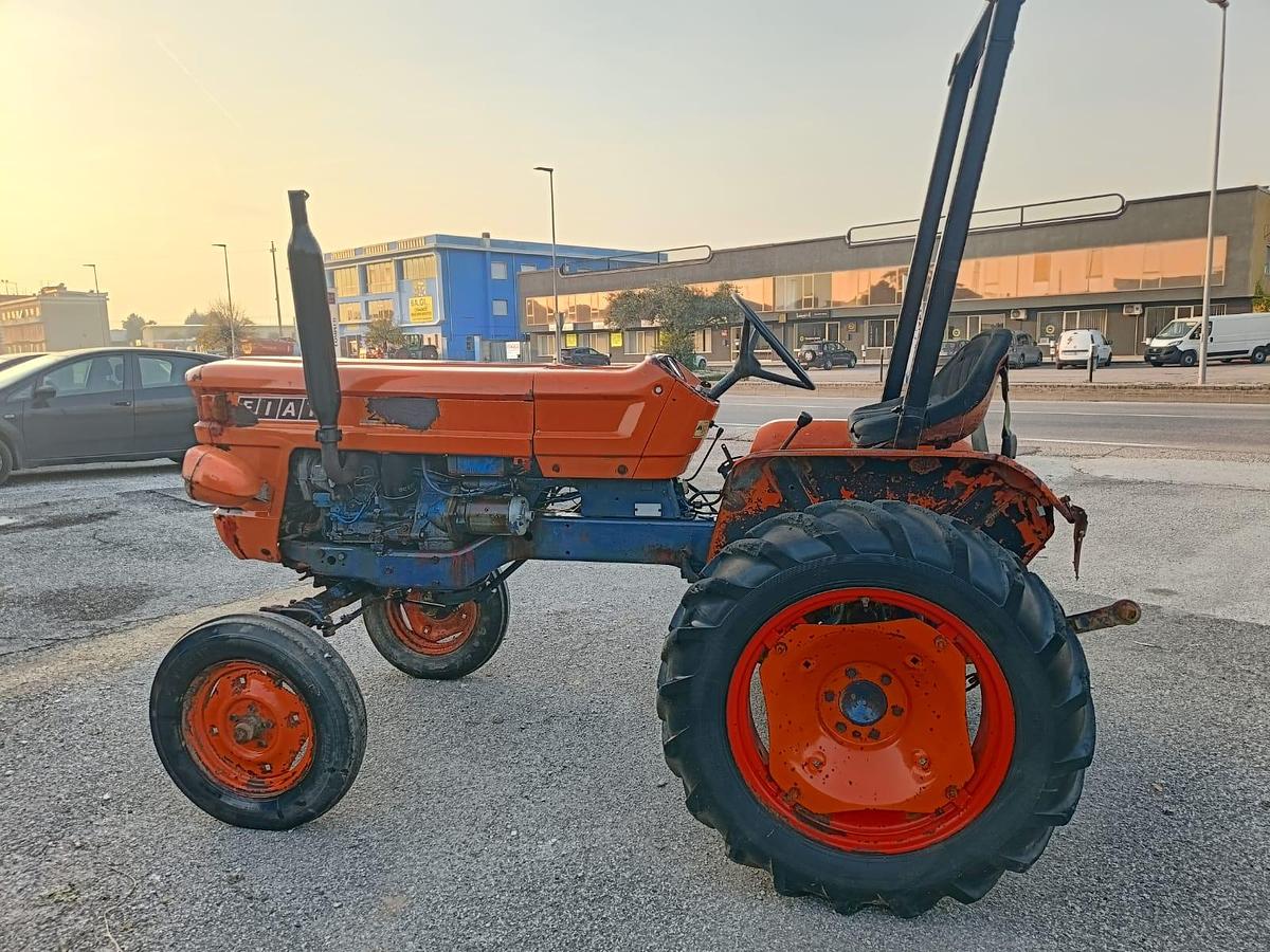 Usato Fiat 250 con arco di protezione