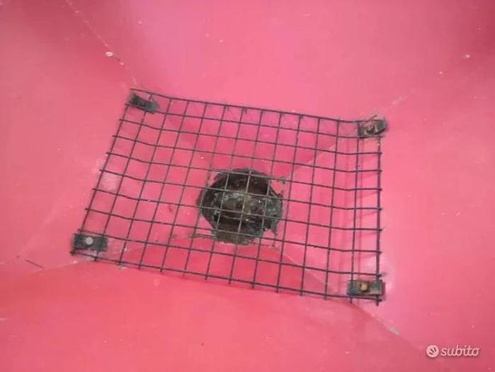 Used Spandiconcime Faza 