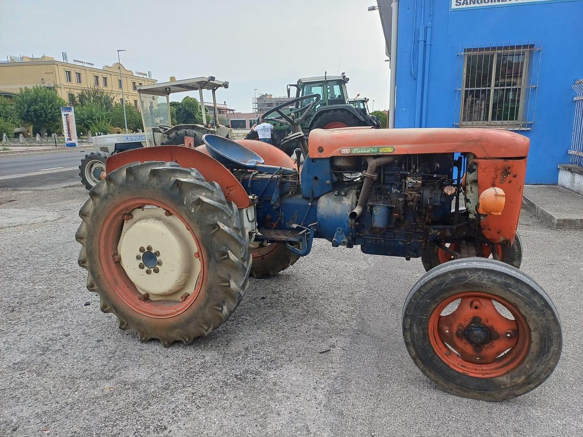 Usato same puledro da vigneto con sollevatore