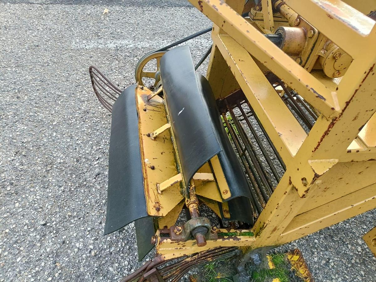 Usato raccogli ortaggi o cipolle marca Alvisi Mario