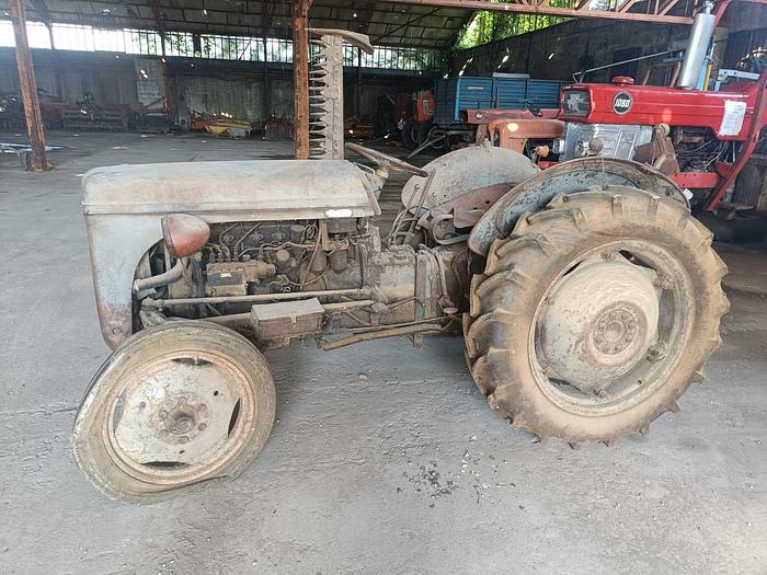 Usato Massey Ferguson TE 20 a benzina