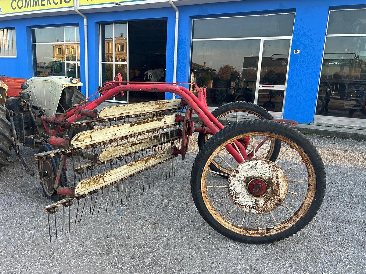 Usato Ranghinatore Fort