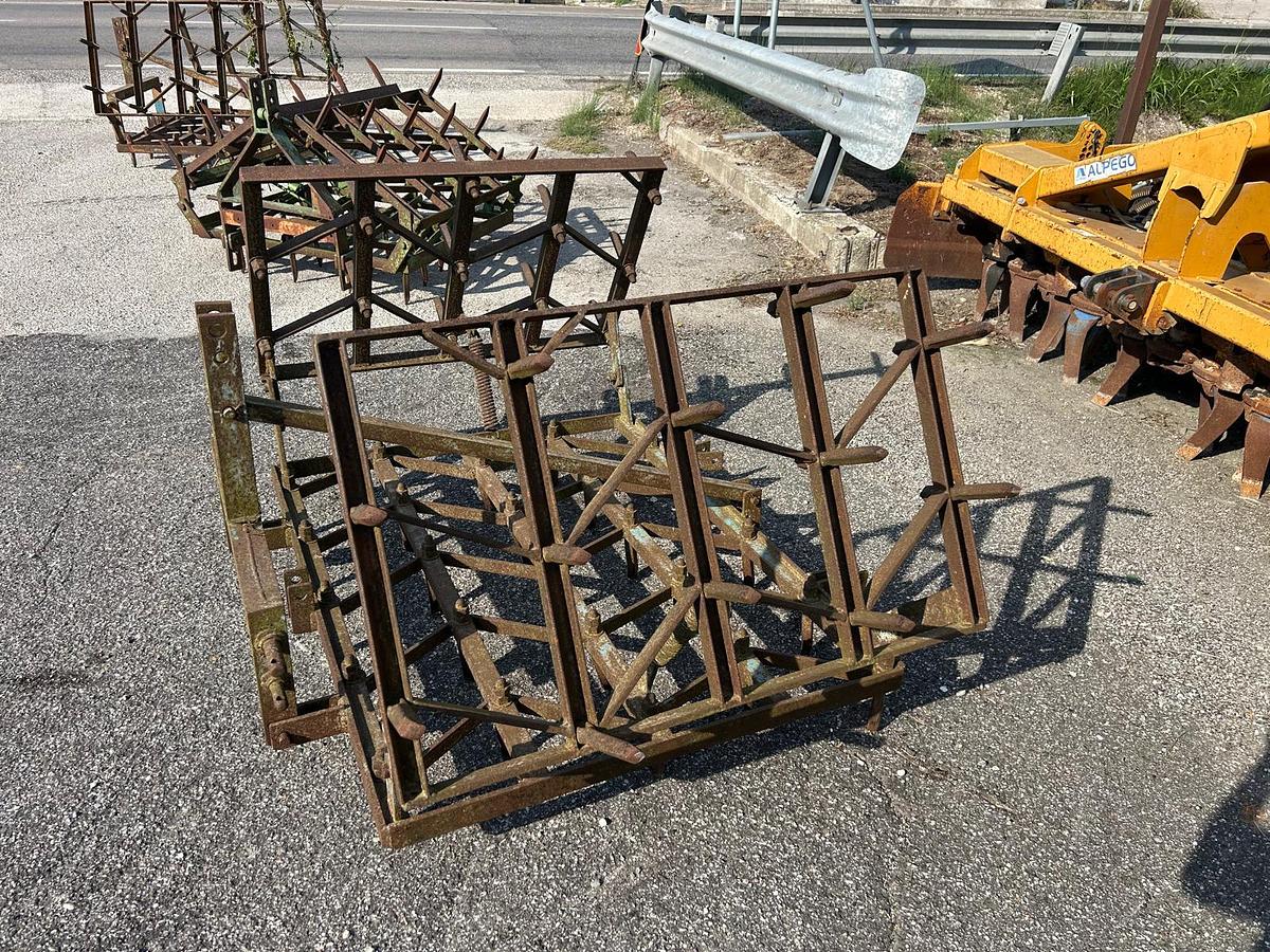 Usato erpice a denti fissi (1)
