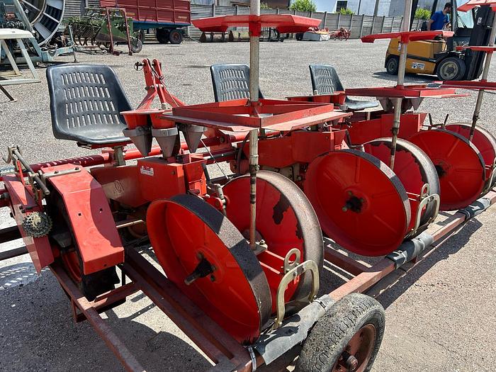 Usato Trapiantatrice Cecchi e Magli a 4 file carrellata